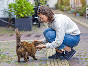 Woman petting cat in the street