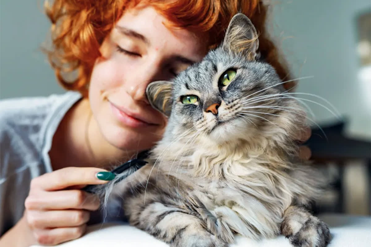 Cat person