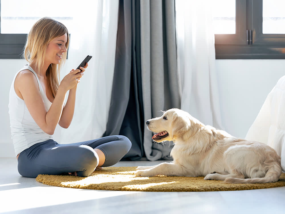 a woman looking at her phone while her dog looks on