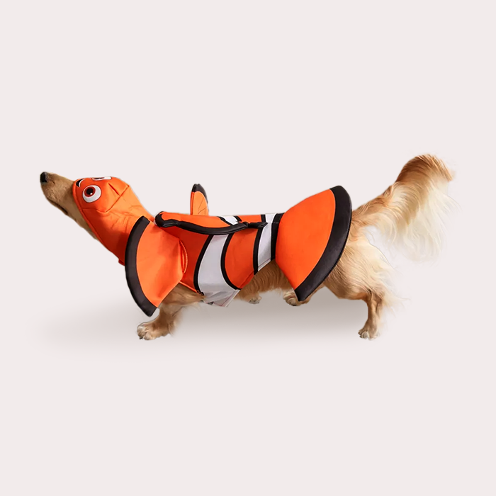 Finding Nemo costume for dogs