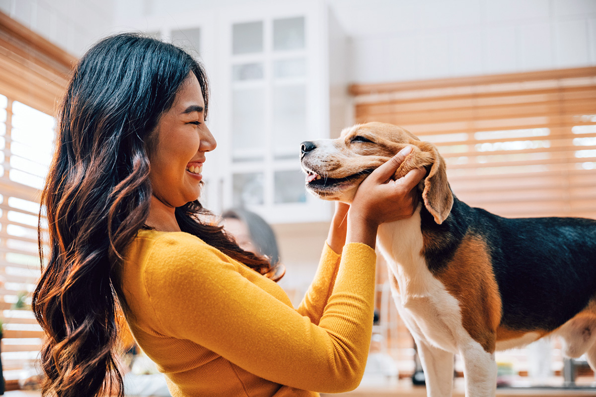 Person petting a dog making a happy face