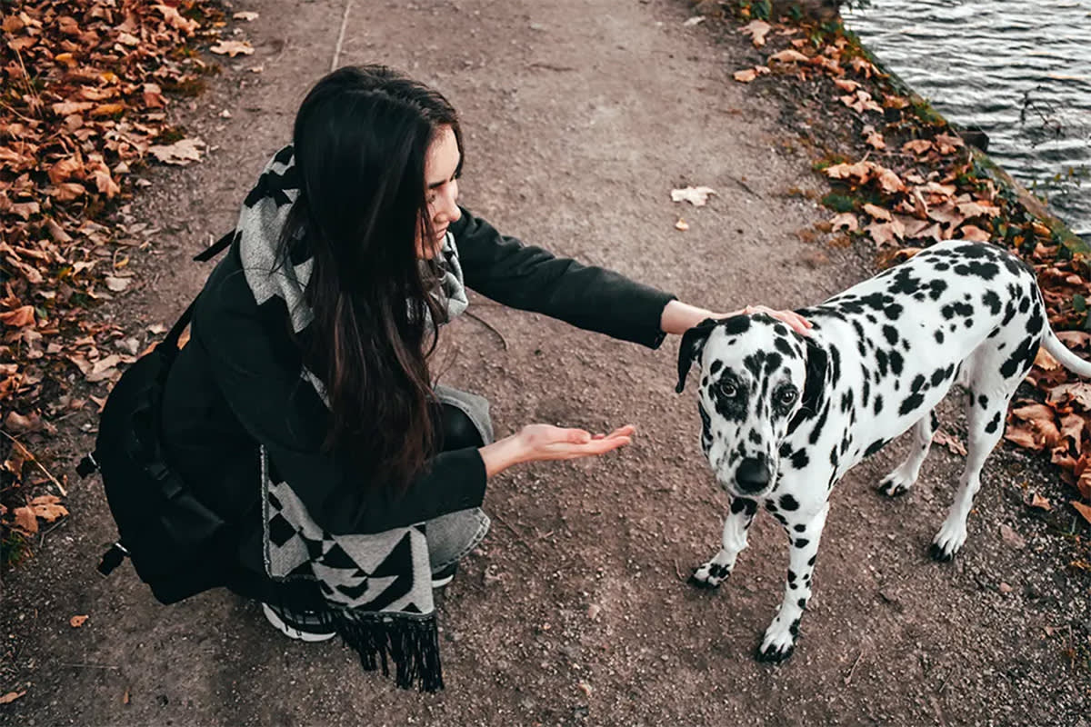 Person petting a dog outside