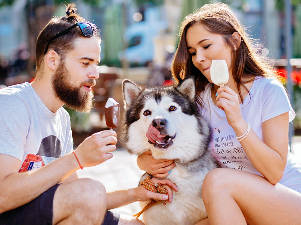 Man and woman enjoying popsicles outside with their husky dog.