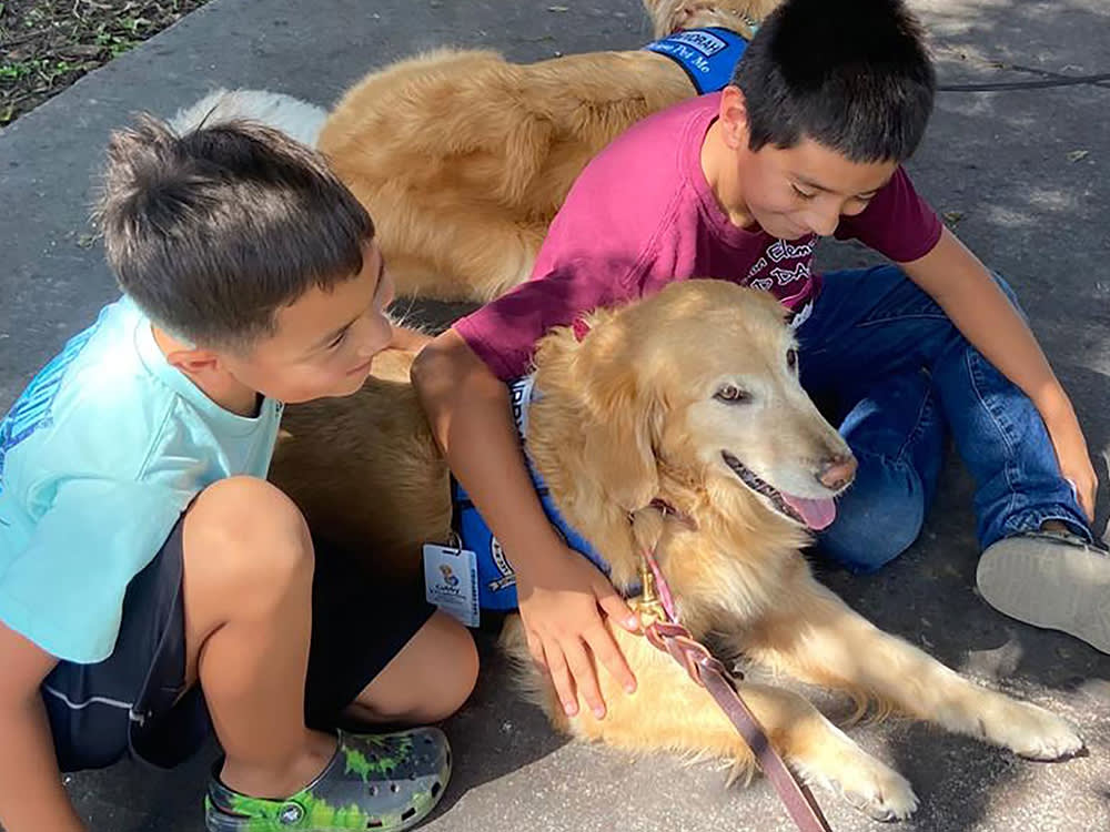 Two young boys hugging a comfort dog on the pavement outside