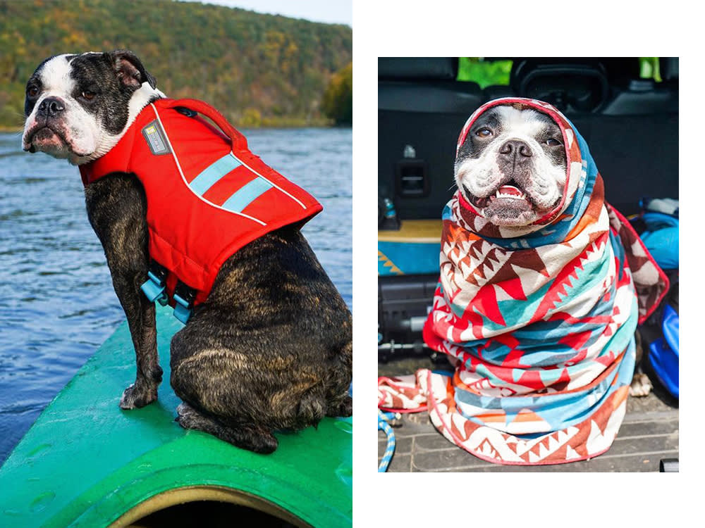 Zelda on a kayak, Zelda wrapped in a blanket