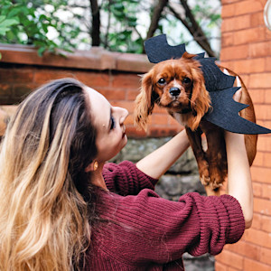Two female friends in their twenties playing with their dogs outside in autumn.