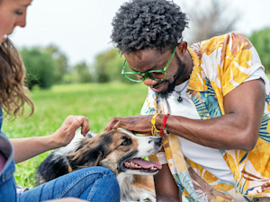 Friends play with dog in the park.