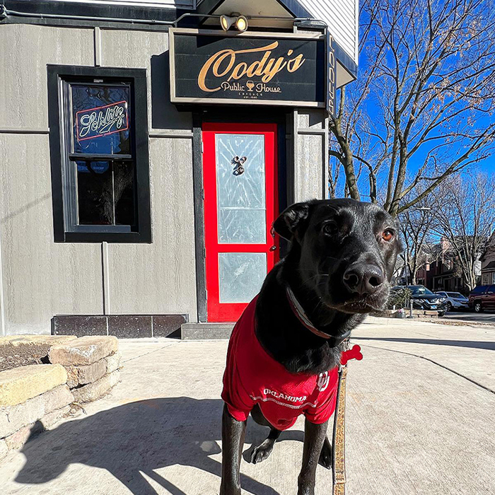 a black dog in front of Cody's bar