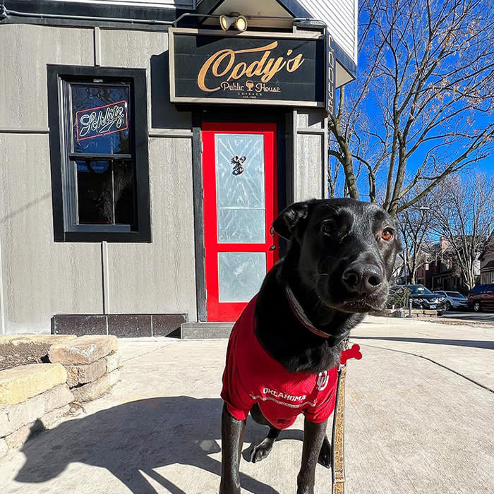a black dog in front of Cody's bar