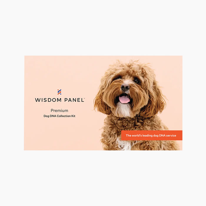 the wisdom panel in pink package
