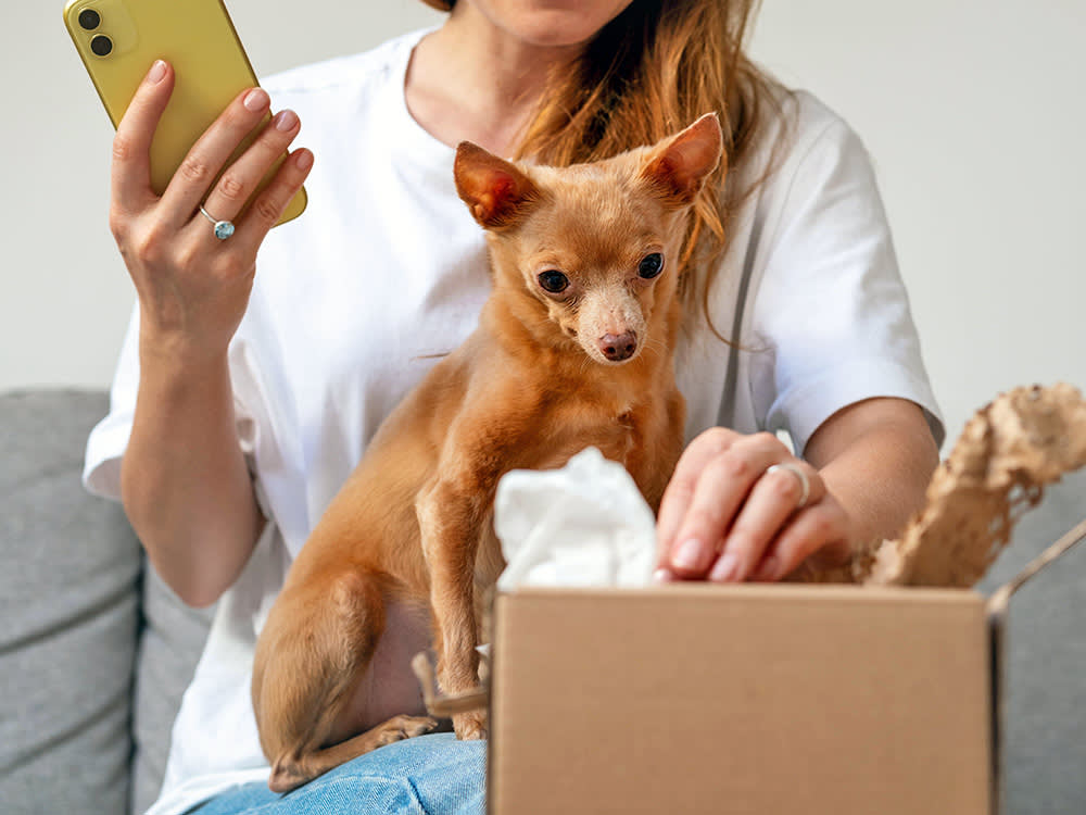 Woman opening package with her small dog at home.
