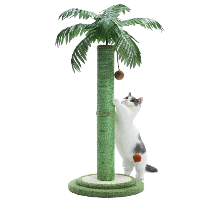 PAWZ Road Coconut Palm Cat Scratching Post