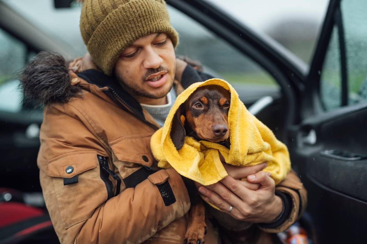 a man in a winter coat and hat cradles a daschund in a yellow towel next to a car