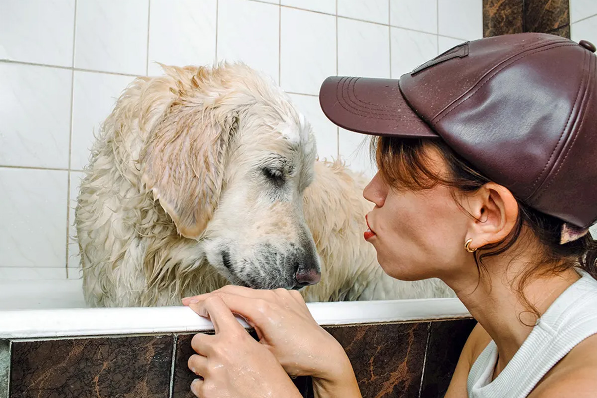 Dog in bath