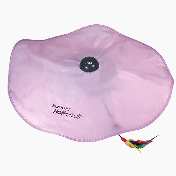 SmartyKat Hot Pursuit Cat Toy
