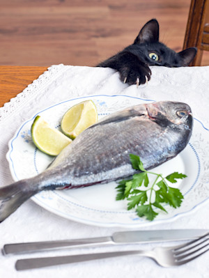 a black cat reaches it's paw on a table with claws out to try and get a fish on a place