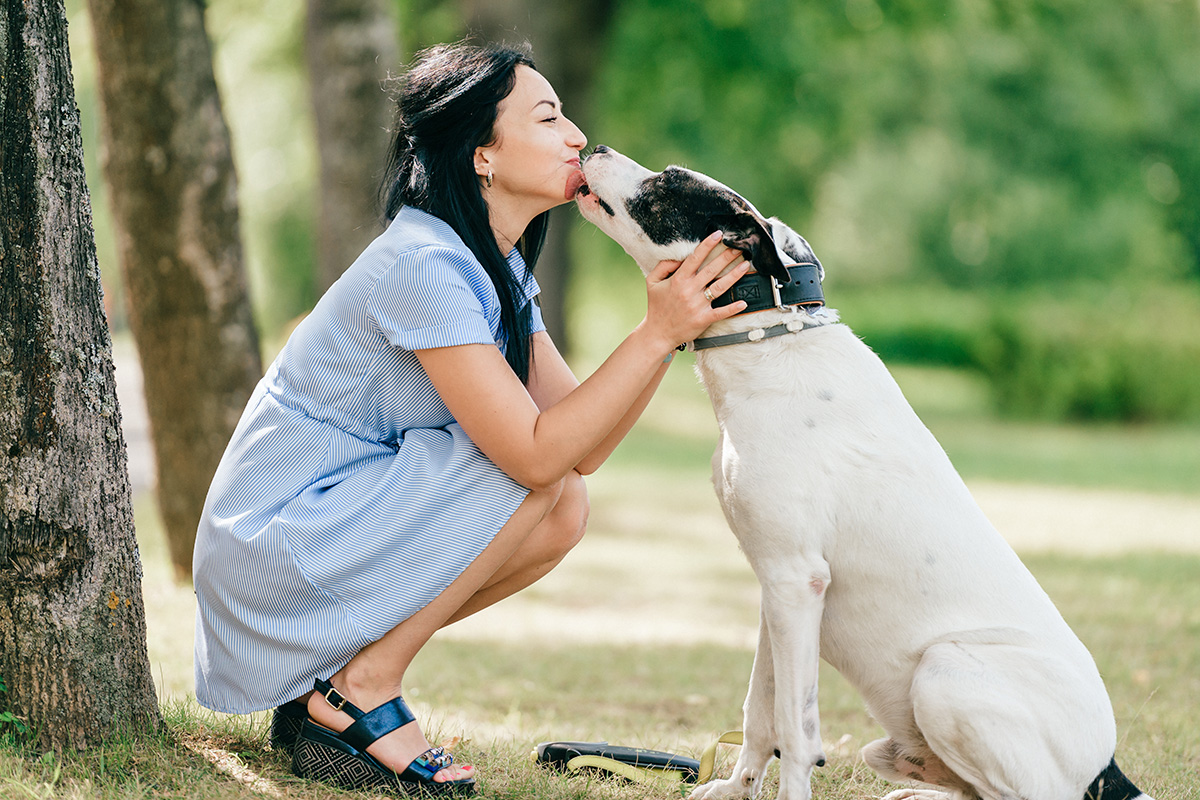 Dog licking a person's face