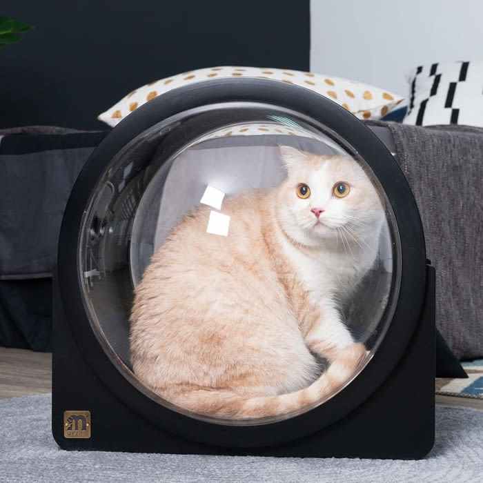 black spaceship cat furniture