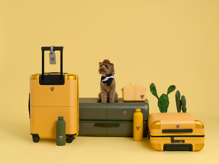 Portrait of a dog in a cowboy hat and handkerchief sitting atop a suitcase surrounded by other suitcases of army green and yellow set against a solid yellow background