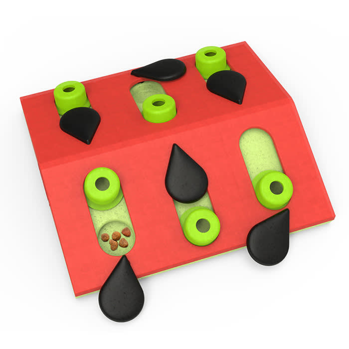 pink green and black colored interactive cat toy