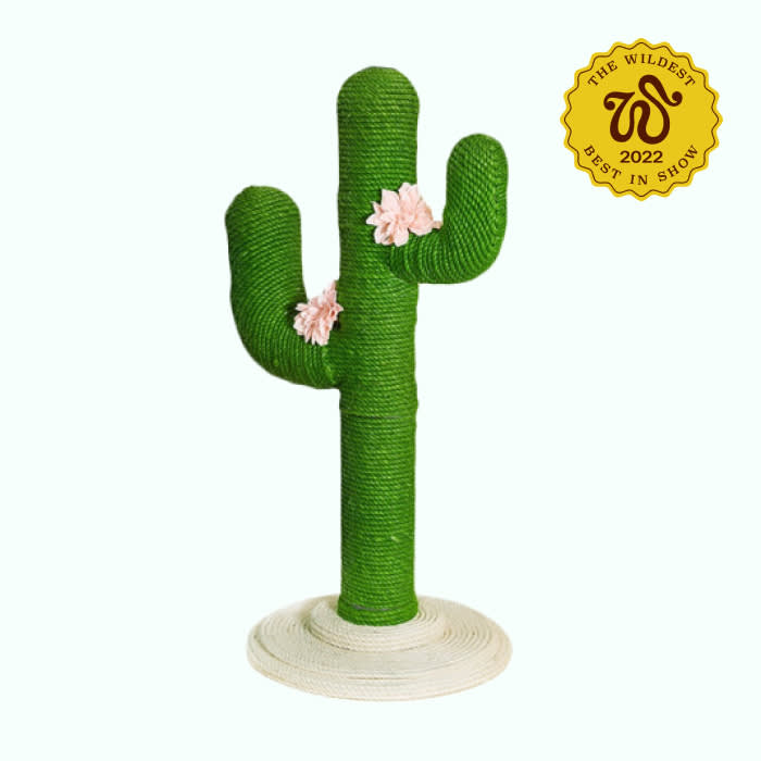 green cactus scratching post