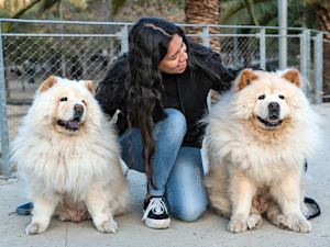 Woman kneeling in-between two Chow Chow dogs.