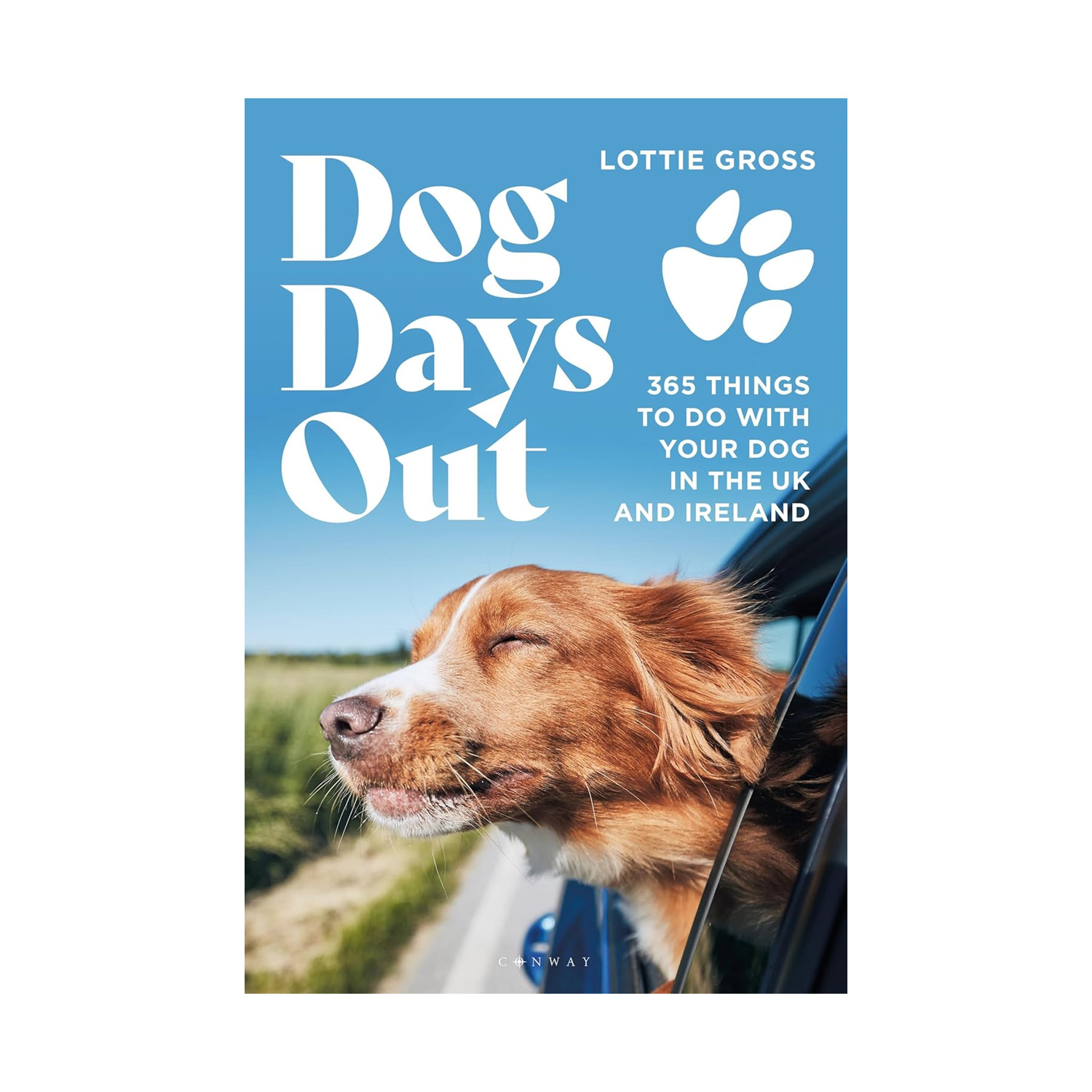 Dog Days Out: 365 things to do with your dog in the UK and Ireland