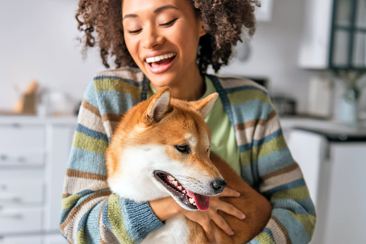 Person cuddling a Shiba Inu