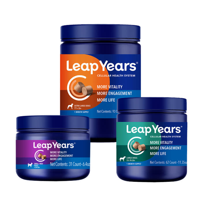 leap years supplements