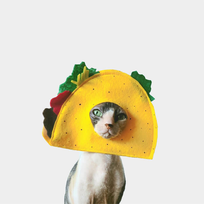 cat wearing taco costume