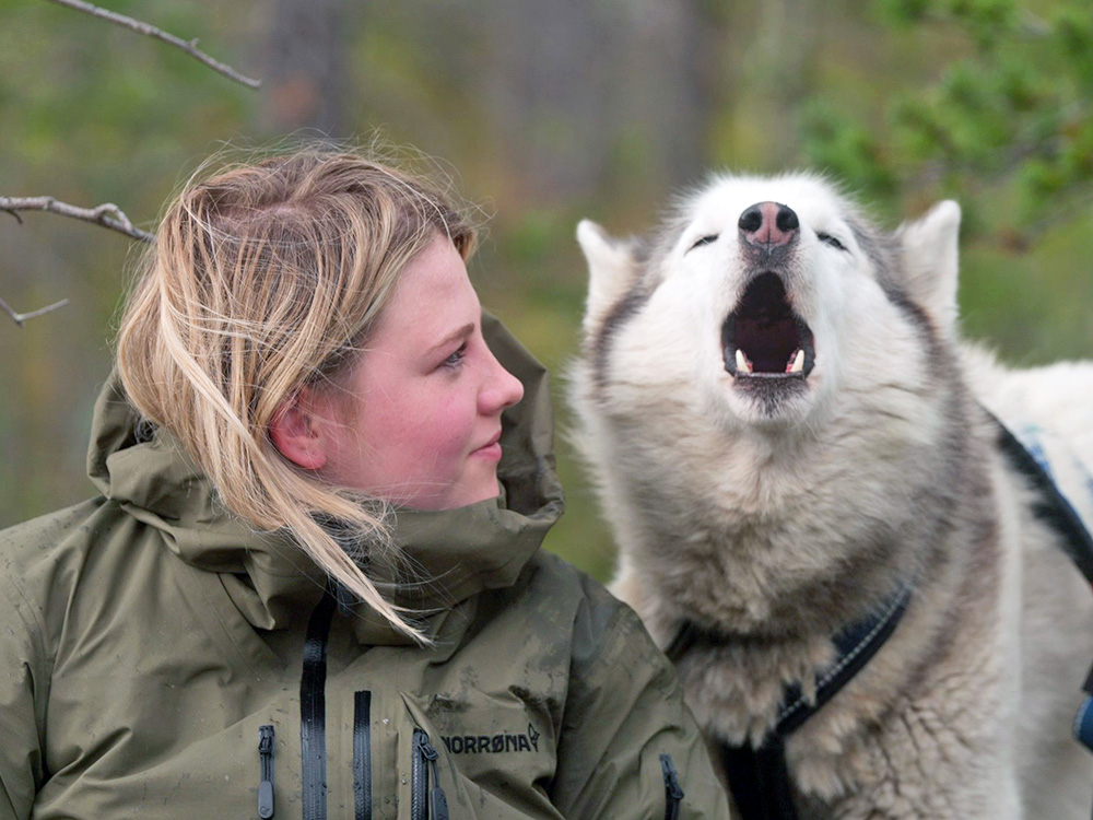 Person looking at dog