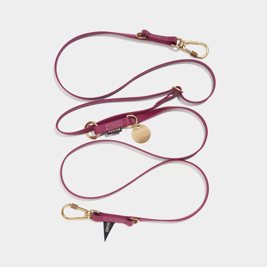 red leash with gold clips