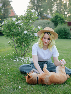 Woman scratching belly of Shiba Inu while sitting on lawn near bush on summer day in yard.