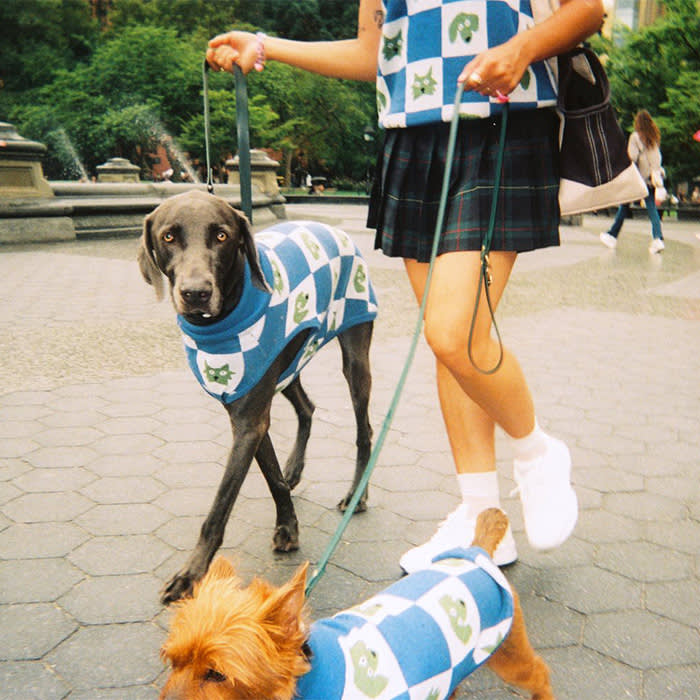 checkered blue and white sweater