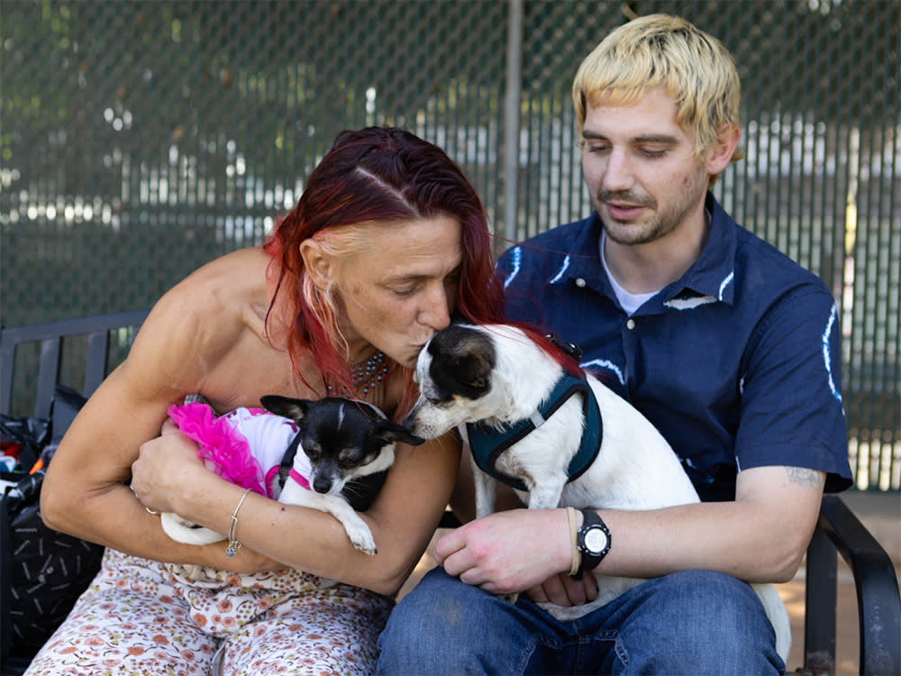 Two people hold their white-and-black dogs, one of whom wears a pink tutu. The woman kisses one of the dogs on the head.