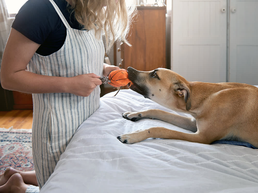 A blonde woman wearing a black t-shirt and striped overalls playing tug with her tan dog using an orange basketball squeaky toy