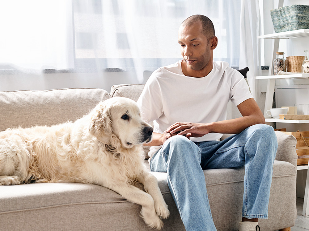 Man looking at his golden retriever dog on the couch.