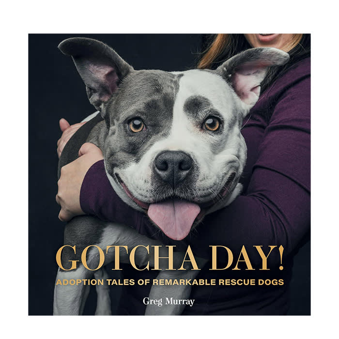 Gotcha Day!: Adoption Tales of Remarkable Rescue Dogs by Greg Murray
