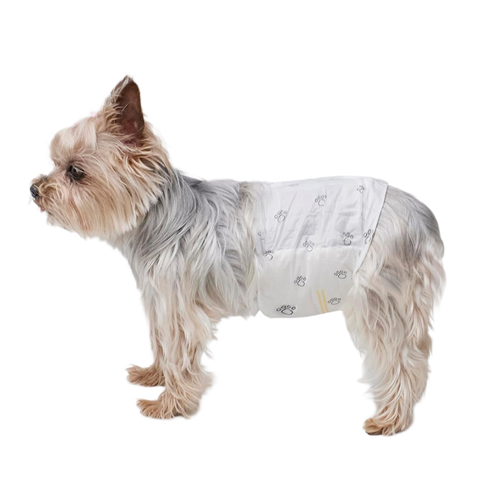 Amazon Basics Disposable Male Dog Diapers