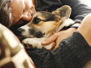 a picture of a man snuggling with a sad corgi