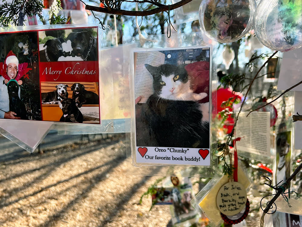 ornaments hanging on the Pet Memorial Christmas Tree; a cat with the caption "Oreo 'Chunky' Our favorite book buddy!"