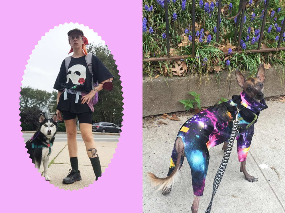 spike einbinder walking dogs