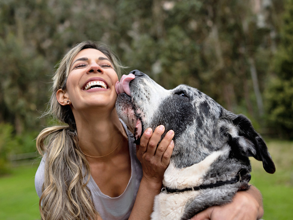 Woman cuddling her Great Dane dog outside in the grass.