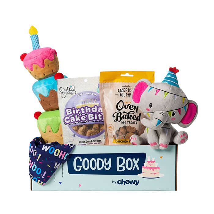 dog Goody Box toys and treats