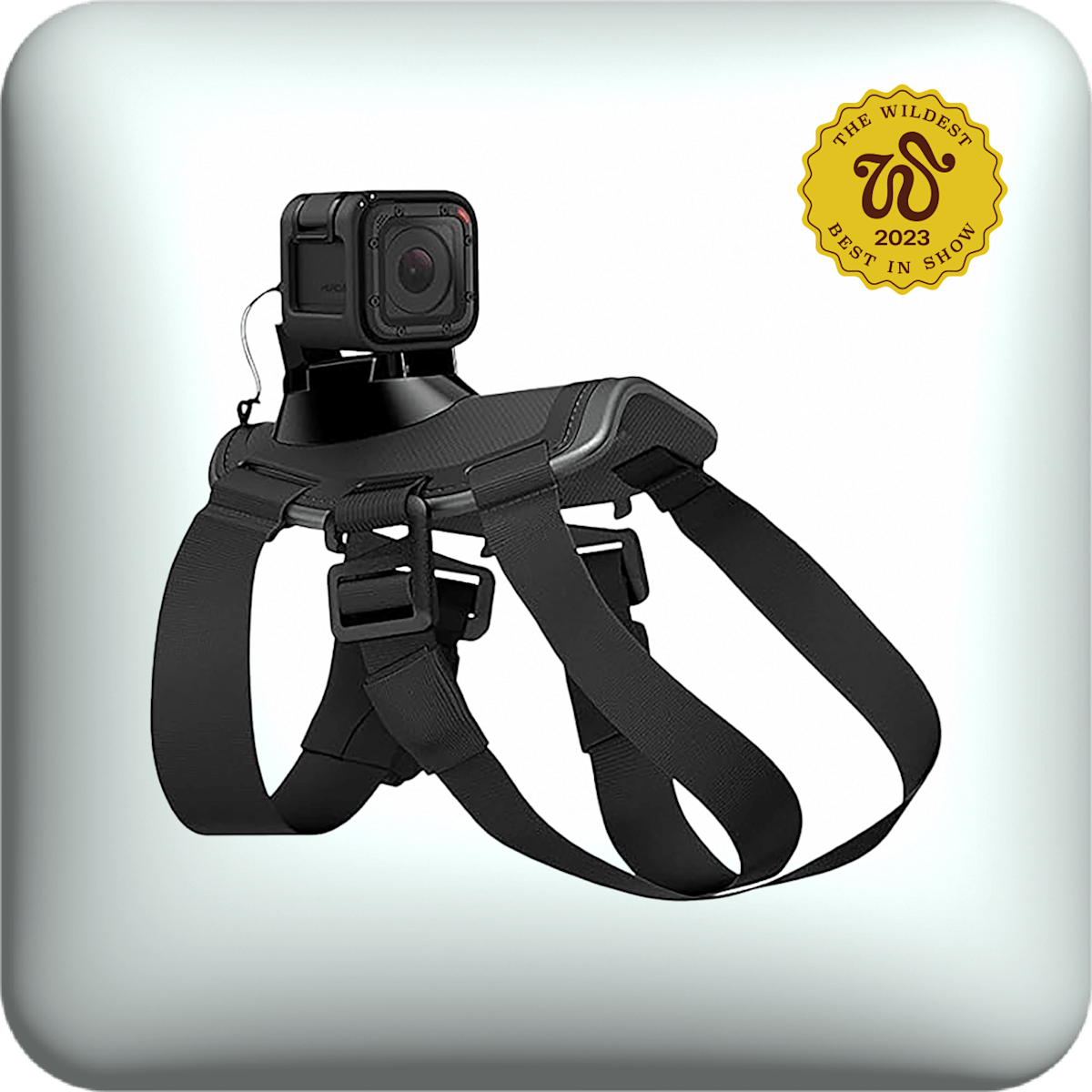 gopro dog harness