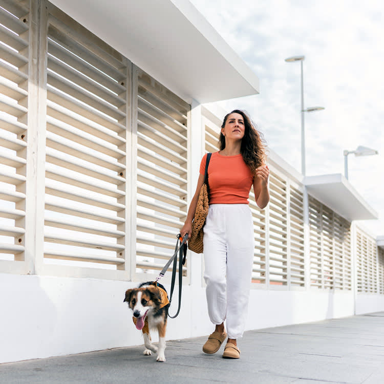 A woman walks along the pavement with a dog on a lead close to her