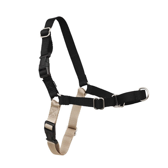 PetSafe Easy Walk Harness for Dogs