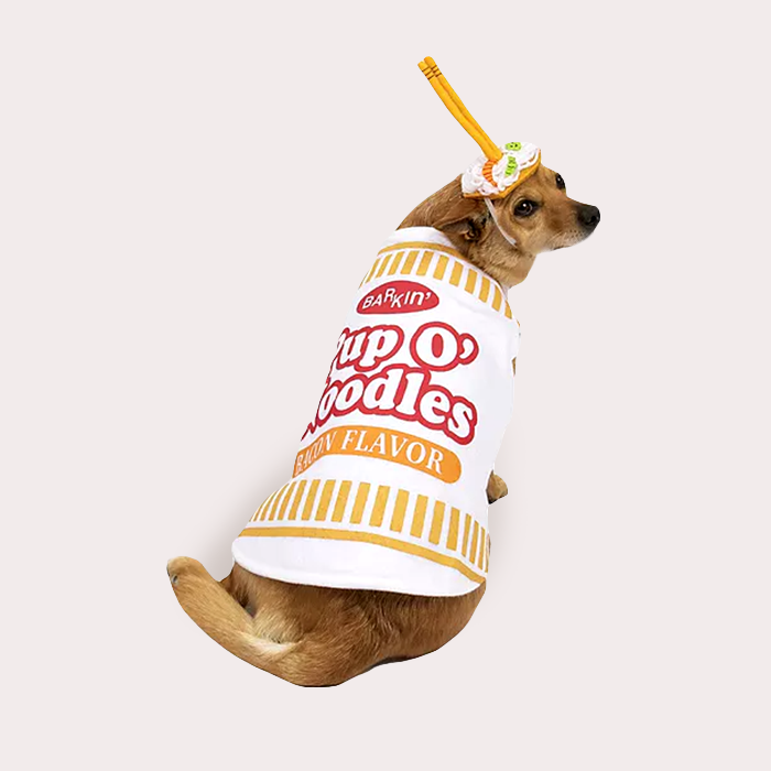 noodles dog costume