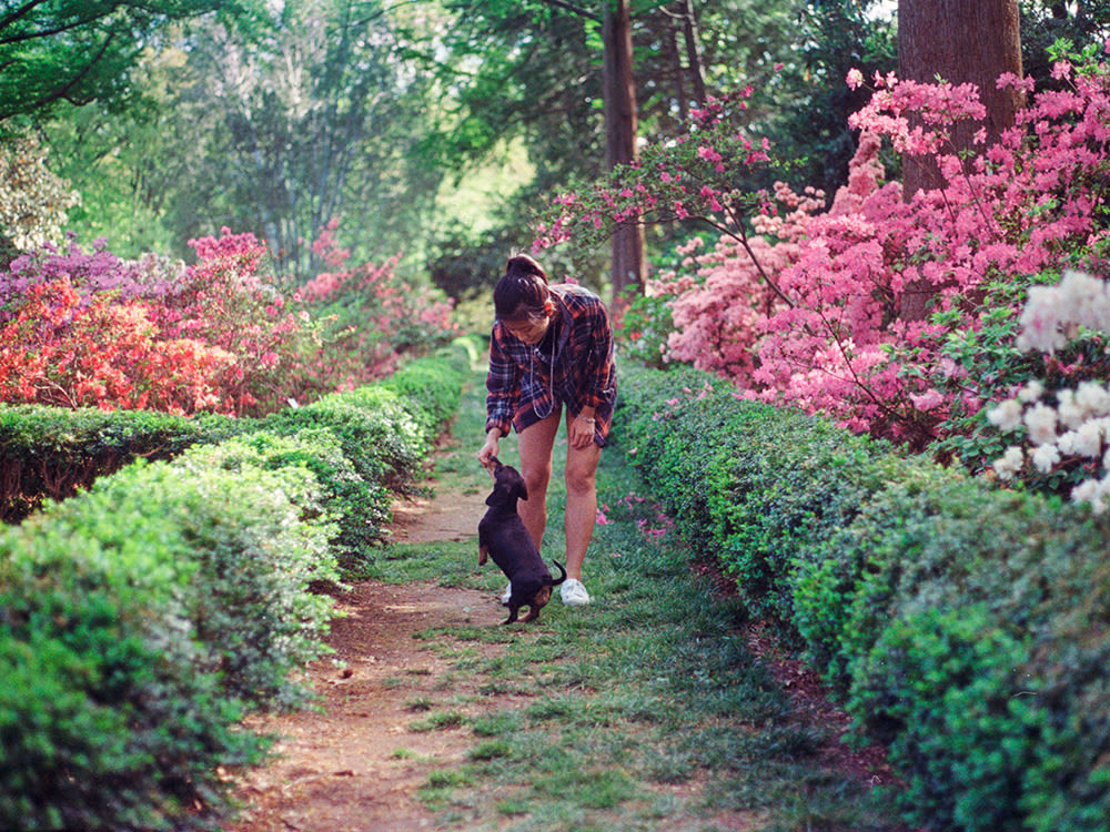 A woman walking with her dog in a garden. 