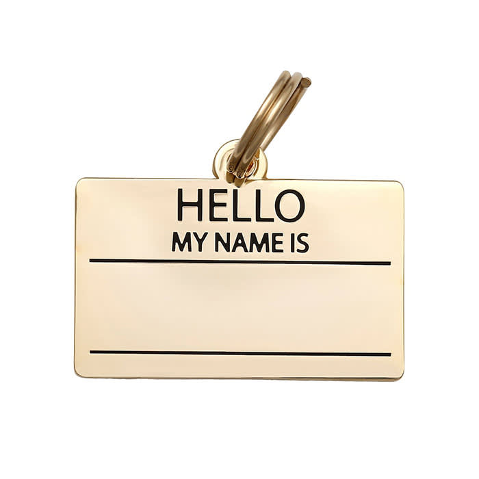 Hello My Name Is dog ID tag